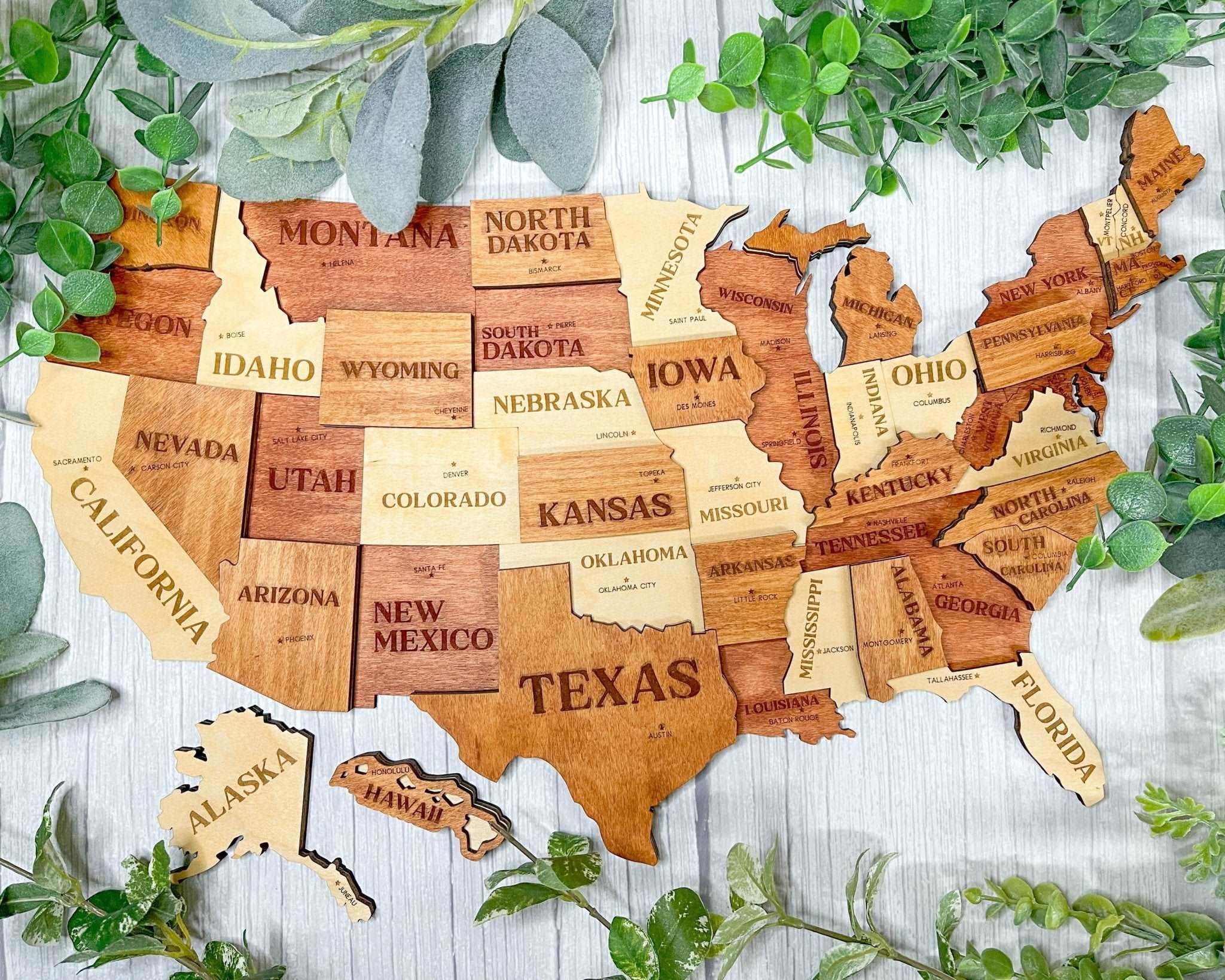 3D Wooden Map of the US